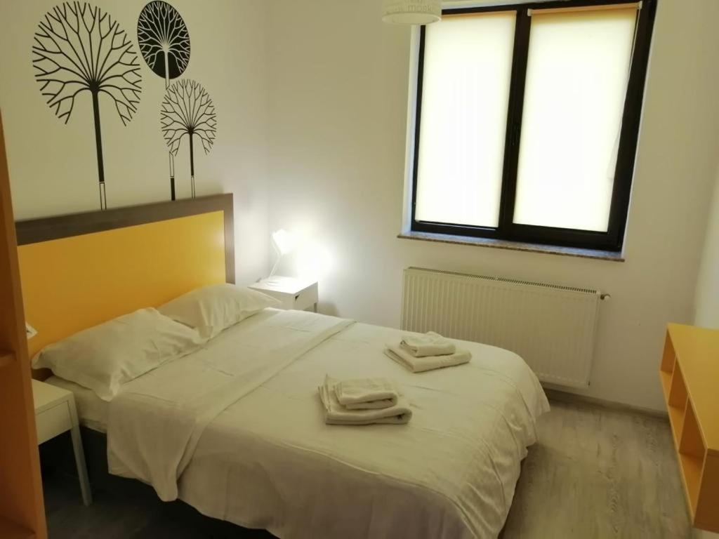 Urban Apartments And Studios - City Center 雅西 客房 照片
